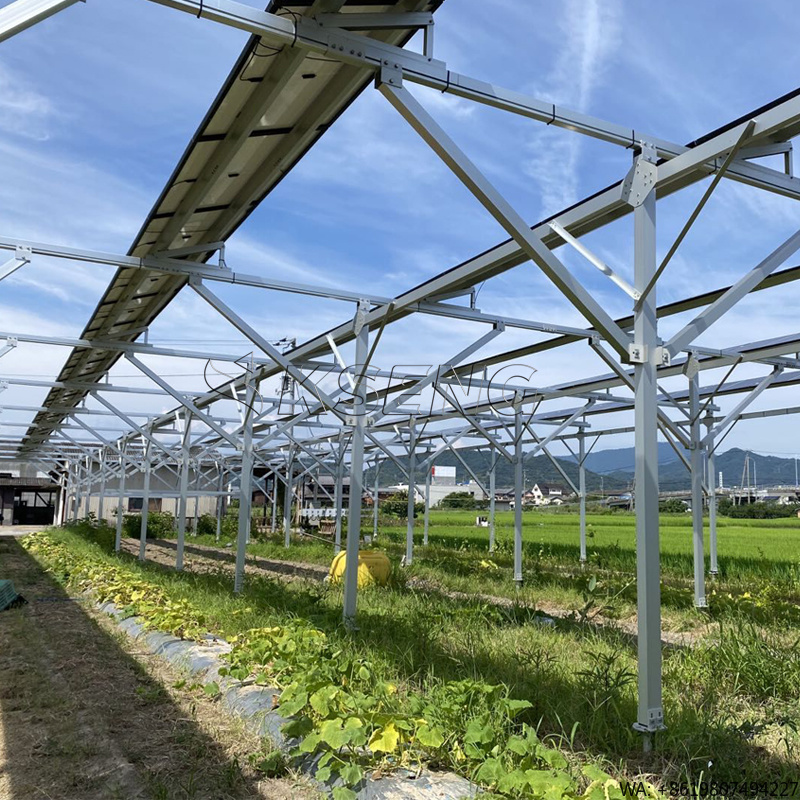 Sustainable Agriculture/Farming - Japan's nieuwe landbouw aluminium zonnepaneelmontagebeugels zonneboerderijmontagesysteem