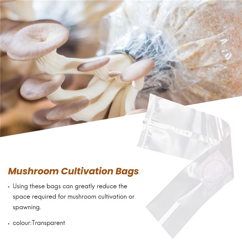 100 Stuks Paddestoelkweekzakke - Mushroom Spawn Bag recensie en prijs