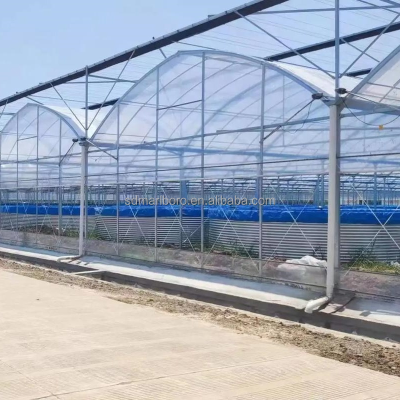 AIROW SDM Grote Kunststof Visv - Farm Pond Liner recensie en prijs