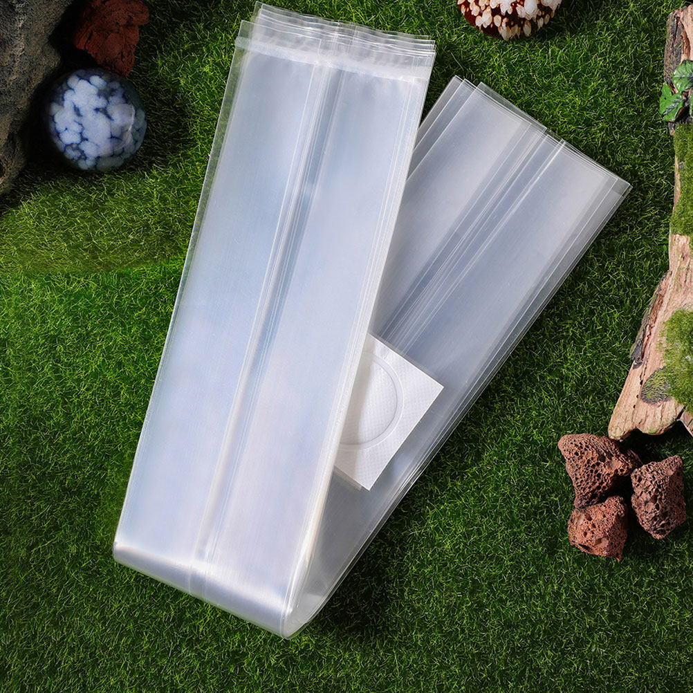 1Set Eetbare Champignon Kweekz - Mushroom Spawn Bag recensie en prijs