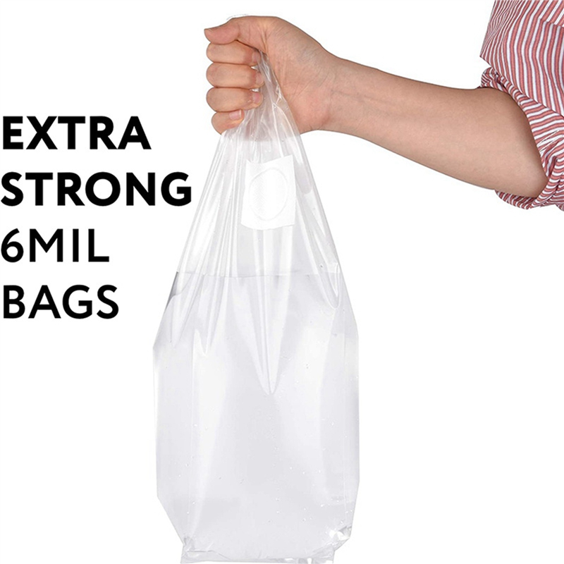 AA81-300 Stuks Paddestoel Groe - Mushroom Spawn Bag recensie en prijs