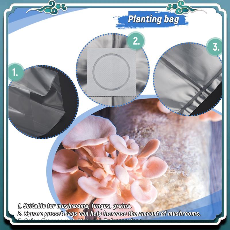 50 Stuks 10X20 Inch PVC Paddes - Mushroom Spawn Bag recensie en prijs