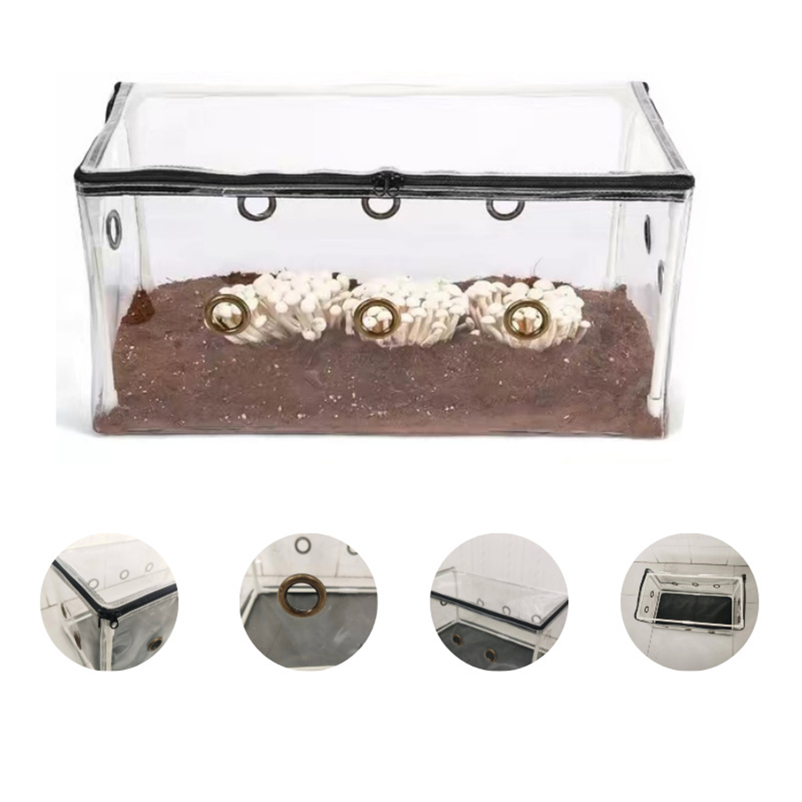 Mini-kas voor de tuin, eenvoud - Mushroom Spawn Bag recensie en prijs
