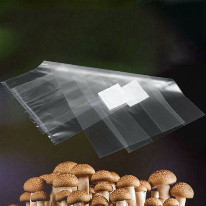 AT44-100 stuks PVC paddenstoel - Mushroom Spawn Bag recensie en prijs