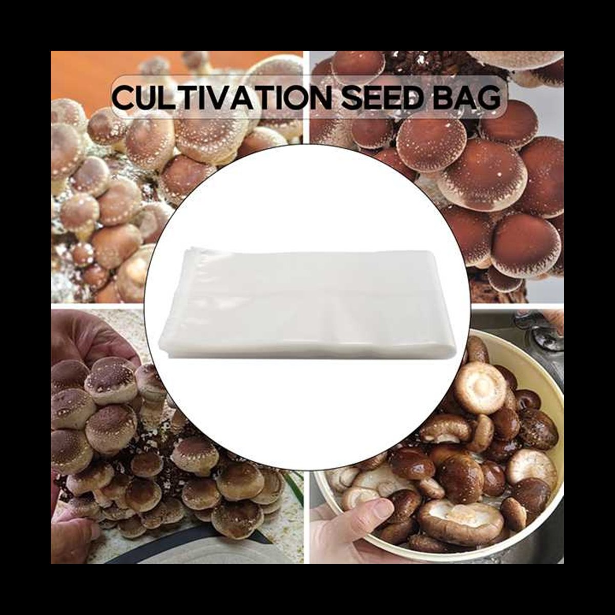 A78I 50 stuks paddestoelzakken - Mushroom Spawn Bag recensie en prijs